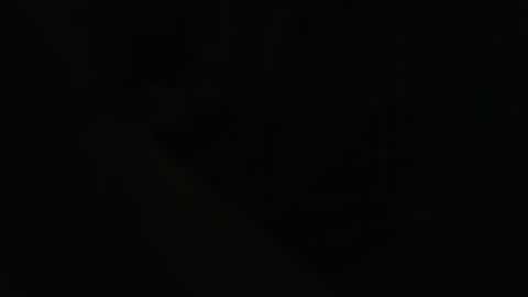 ddog1993 online show from 04-22-26, 09:55