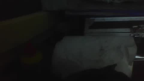 de_maskedcouple online show from 01-19-25, 01:43