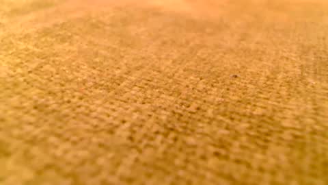 deliciaalove online show from 12-17-24, 07:37