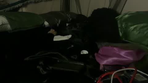 delightfuldark online show from 10-03-25, 11:07