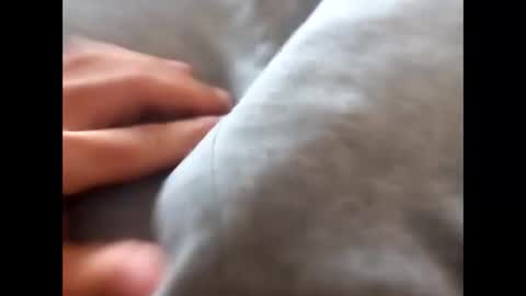 deliv_shopi online show from 11-17-25, 01:50