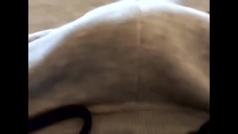 deliv_shopi online show from 02-22-26, 02:48