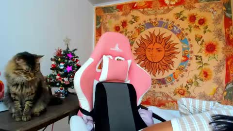 demeter__ online show from 12-11-24, 04:53