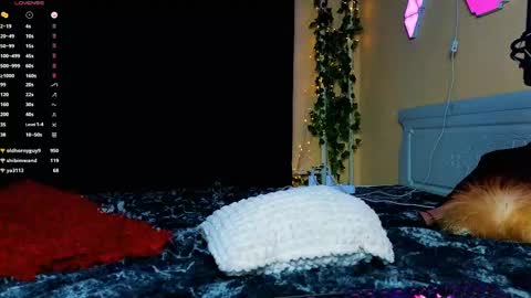 Demmi online show from 02-15-25, 12:48