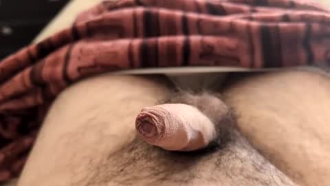 Snapshot of denis647 chatting on 02-05-25, 02:26 LilRoach online show from 02-05-25, 02:26