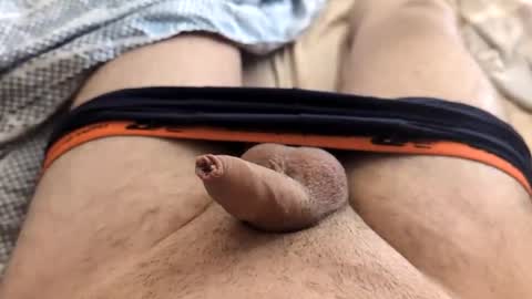 Snapshot of denis647 chatting on 02-17-25, 02:04 LilRoach online show from 02-17-25, 02:04