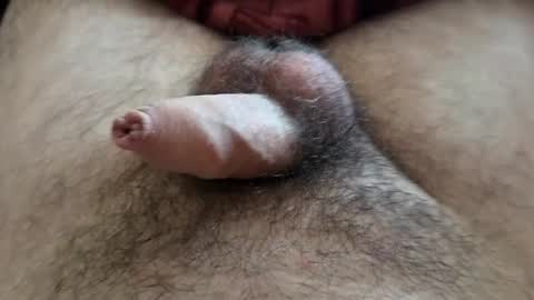 Snapshot of denis647 chatting on 09-15-25, 12:05 LilRoach online show from 09-15-25, 12:05