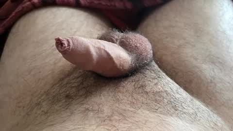 Snapshot of denis647 chatting on 11-16-25, 03:28 LilRoach online show from 11-16-25, 03:28