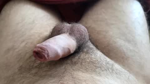 Snapshot of denis647 chatting on 12-01-25, 03:17 LilRoach online show from 12-01-25, 03:17