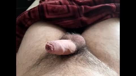 Snapshot of denis647 chatting on 02-10-26, 02:21 LilRoach online show from 02-10-26, 02:21