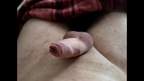 Snapshot of denis647 chatting on 02-25-26, 02:05 LilRoach online show from 02-25-26, 02:05