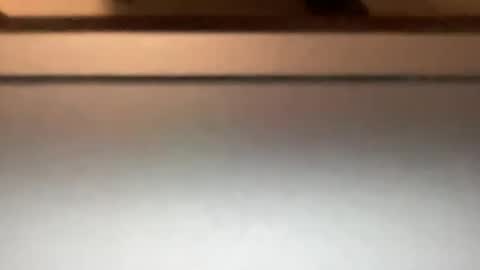 densex123 online show from 03-04-25, 10:16