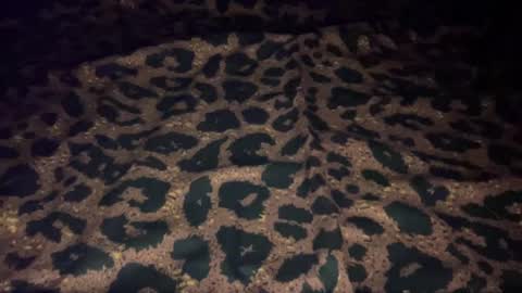 derek829099 online show from 10-09-25, 07:06