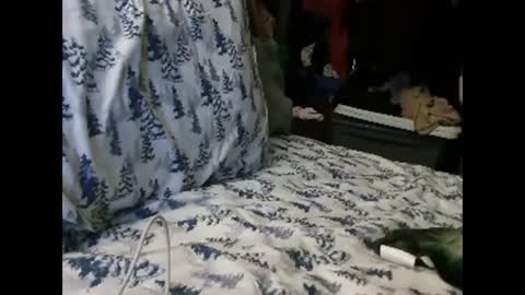 deroseblack online show from 01-13-25, 04:50