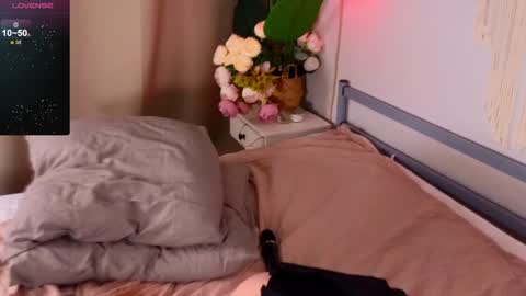 Snapshot of devilss_toy chatting on 12-25-24, 05:26  CIBELLE  online show from 12-25-24, 05:26