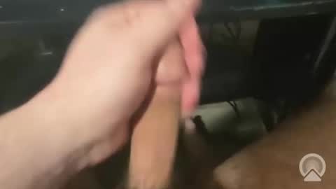 devin255395 online show from 12-03-25, 07:45