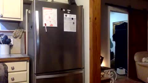 devjsav12 online show from 01-19-25, 03:50