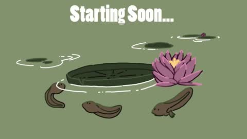 diana online show from 12-14-24, 03:07