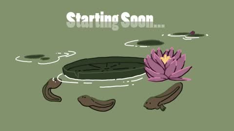 diana online show from 01-18-25, 02:55