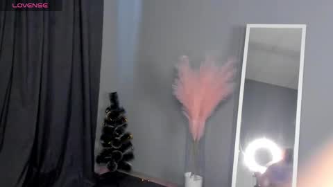 Dianne online show from 01-30-25, 09:36