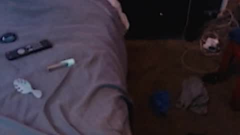 Snapshot of dickgiggler chatting on 12-03-24, 07:10 Sparkx online show from 12-03-24, 07:10