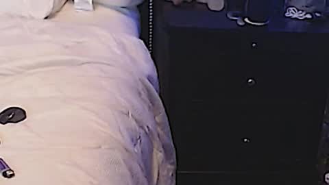 Snapshot of dickgiggler chatting on 03-11-25, 07:04 Sparkx online show from 03-11-25, 07:04