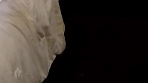 Snapshot of dickgiggler chatting on 09-09-25, 01:05 Sparkx online show from 09-09-25, 01:05