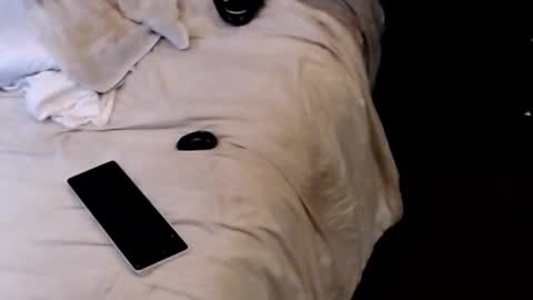 Snapshot of dickgiggler chatting on 09-13-25, 03:28 Sparkx online show from 09-13-25, 03:28