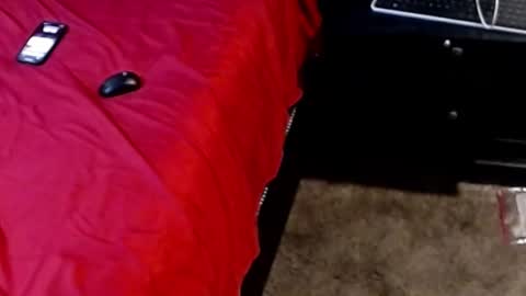 Snapshot of dickgiggler chatting on 09-28-25, 05:13 Sparkx online show from 09-28-25, 05:13