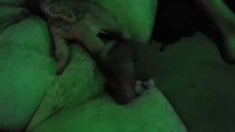 Snapshot of dikkdixon chatting on 02-28-26, 03:57 dikkdixon online show from 02-28-26, 03:57