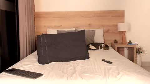 Snapshot of dilarahkessh chatting on 02-16-25, 07:15 Dilarahkesh online show from 02-16-25, 07:15