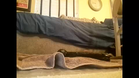 Snapshot of dildosnme22 chatting on 03-10-25, 06:45 dildosnme22 online show from 03-10-25, 06:45