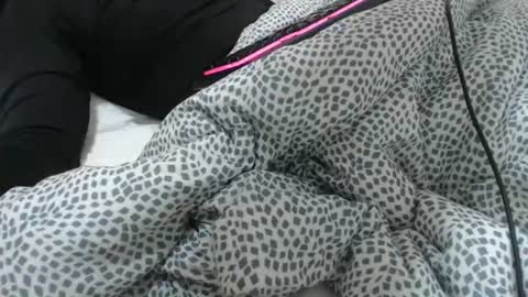 Z online show from 02-03-26, 11:48