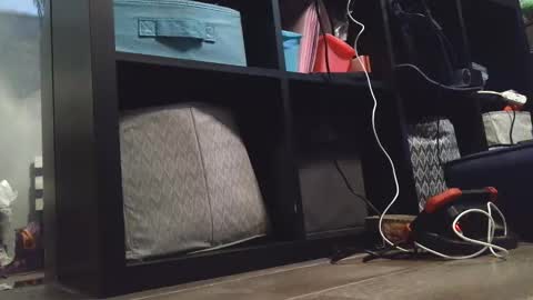 Snapshot of dirtydaisy1998 chatting on 12-27-24, 11:21 Daisy Wylde online show from 12-27-24, 11:21