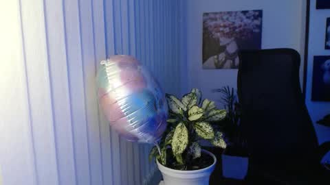 Hera online show from 11-08-25, 10:04