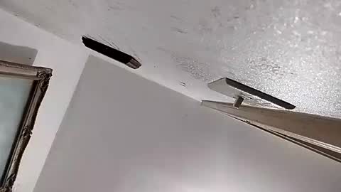 dixonbird41 online show from 02-11-25, 02:46