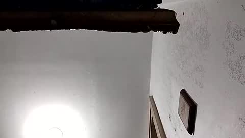 dixonbird41 online show from 02-18-25, 03:54