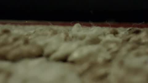 Snapshot of djwats chatting on 02-24-25, 01:57 Mmmmgood online show from 02-24-25, 01:57