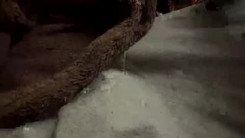 doingmek9 online show from 02-20-25, 11:20