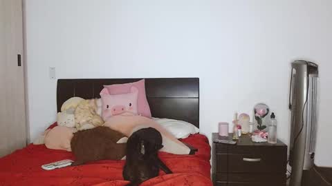 Auro and Santiago online show from 02-24-25, 03:55