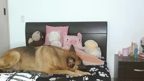 Auro and Santiago online show from 03-04-25, 02:49