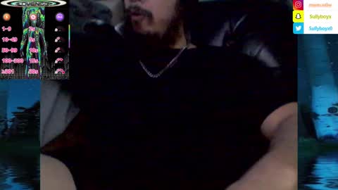 Snapshot of domanarchist chatting on 02-04-25, 06:46 Sullyboyx online show from 02-04-25, 06:46