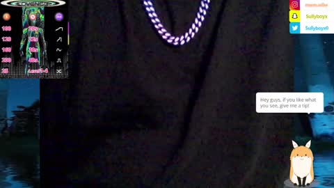 Snapshot of domanarchist chatting on 02-08-25, 07:49 Sullyboyx online show from 02-08-25, 07:49