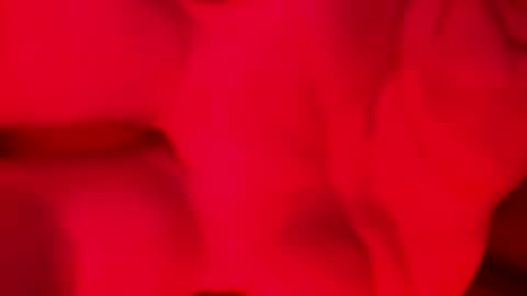 Alzest online show from 11-17-25, 02:06