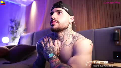 Snapshot of dominic_sullivan1 chatting on 03-01-25, 12:34 Dominic Sullivan online show from 03-01-25, 12:34