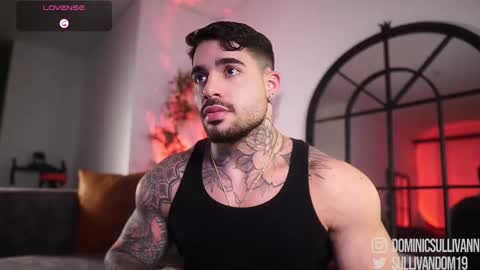 Dominic Sullivan online show from 02-22-26, 04:13