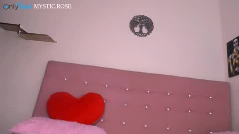 Snapshot of dominika_angel chatting on 12-28-24, 02:54   online show from 12-28-24, 02:54