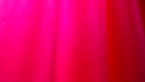 DommeTomorrow online show from 02-25-25, 05:36