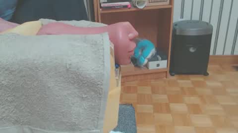 Don online show from 03-29-26, 05:57