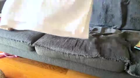 Alfredo online show from 09-19-25, 11:00